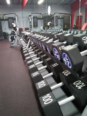 Lotsa dumbbells