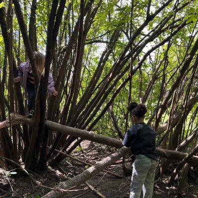 Nature School tree climbing!