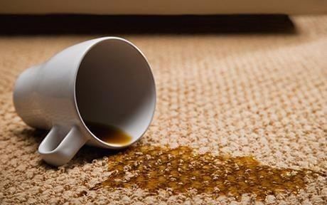 Gary's Carpet Cleaning and Upholstery