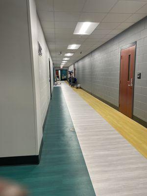 Hallway painting