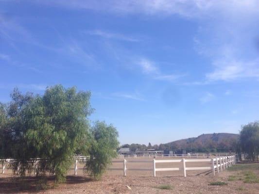 WK Kellogg Arabian Horse Center