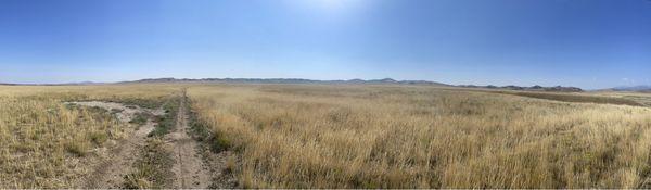 Mountains and prairies around Cody, Wyoming.