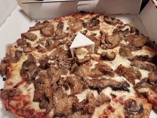 Shroom pizza. Delicious.