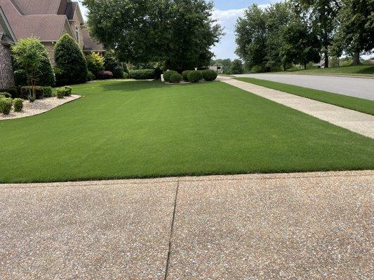 No weeds, just beautiful Hybrid Bermuda. All we have to do is mow.