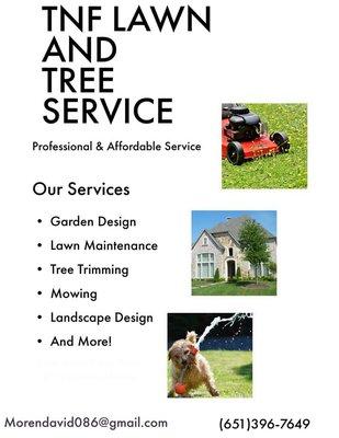 TNF Lawn And Tree Services