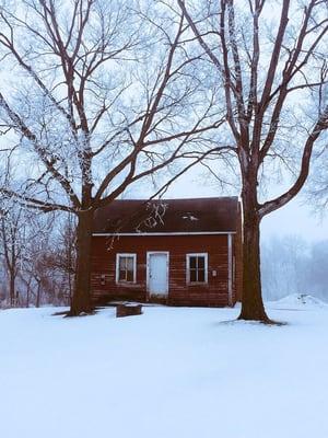 1850's Pioneer Cabin will be restored one day.