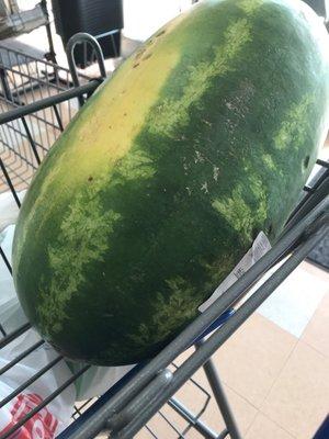 Perfect Watermelon for my juicing!