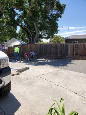 These are the guys leveling out the concrete