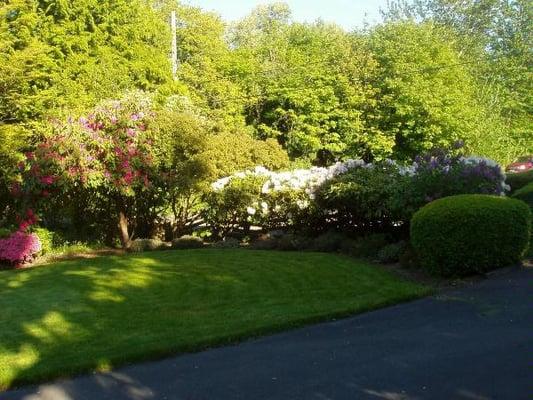 Browns Point customer's front yard maintained by Seatac Landscaping.