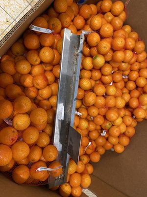 Look even this in the oranges