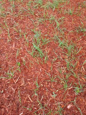 Granite City Sod & Landscape