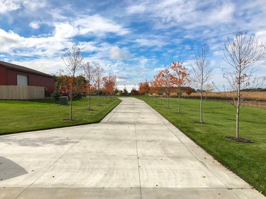 Concrete Driveway with Border