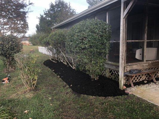 Trimming and mulch