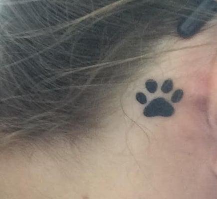 paw print behind the ear