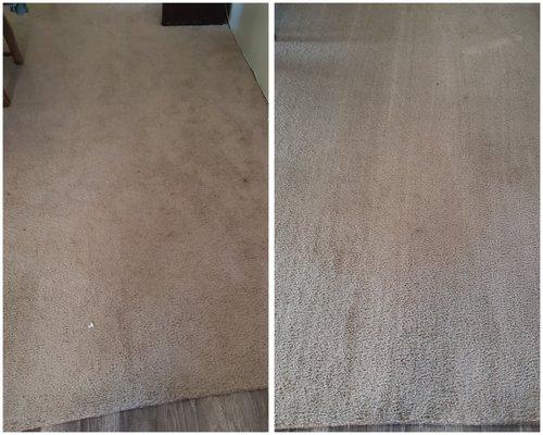 Revitalize your carpets and have them feeling new again!