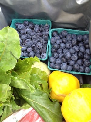 The most delicious blueberries on the face of the earth!