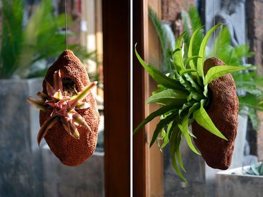 Cocoon Hanging Planters