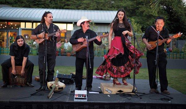 Experience the Vibrant Music of Mexico With Radio Jarocho // Saturday, March 16th