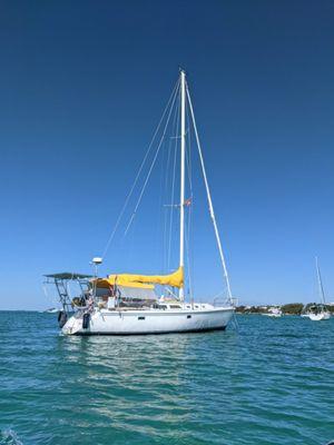 This is a side view photo of a Catalina 42' with a Sunflower Yellow bimini and sailcover.