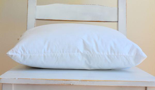 12 X 16 Deluxe Pillow Insert