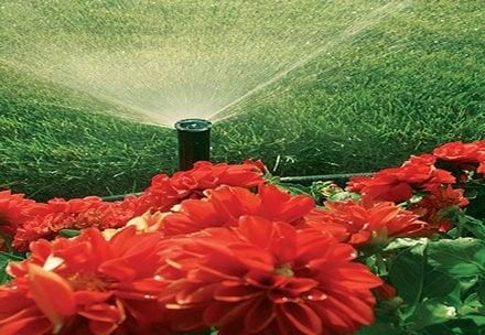 Lawn Sprinklers