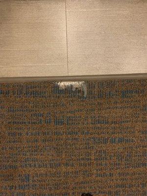 Carpet missing pieces