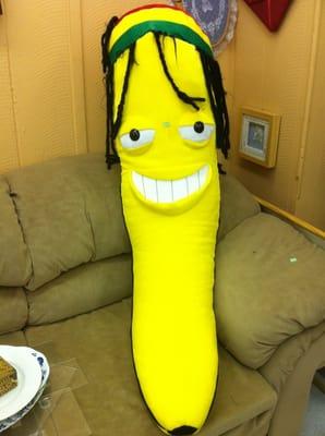 Where else can you find a 4' tall Rasta banana?