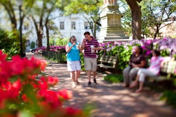 Savannah in the Spring