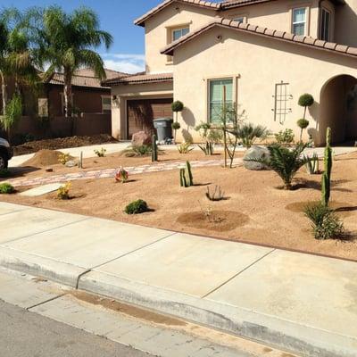 Desert Scape landscaped front yard w / drought tolerant landscape