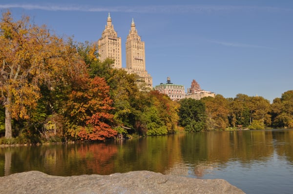 Do You remember those towers? Come find out where you remember them from as well as other treasures on a pedicab tour.