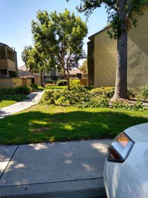 Our beautiful apartment home at Cypress Terrace Apts in the beautiful city of Ontario