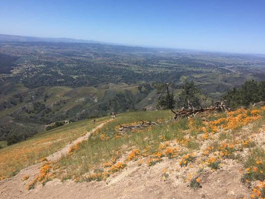 Looking down the trail