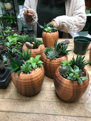 New succulent gardens in our faux wood planters are a great choice to bring a little bit of nature indoors!