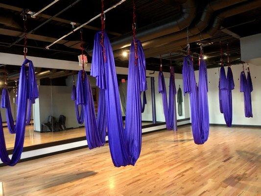 Our purple hammocks rigged and waiting!