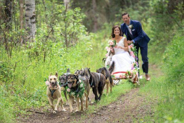 Alaskan Husky Adventures' Owners, Liz & Matthew Failor