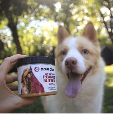 CBD peanut butter for dogs! Helps calm pet down and works great for pain and anxiety!