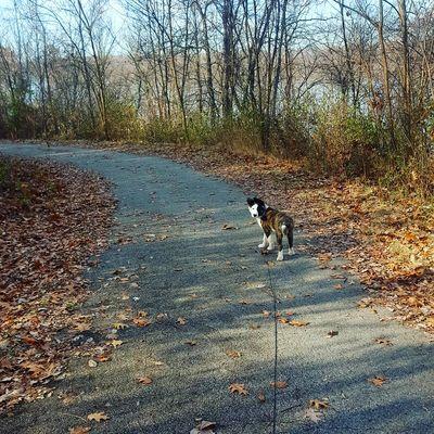 Walking the Sunset Park trail on a nice December morning