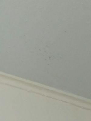 Splattered blood on the ceiling in the bathroom