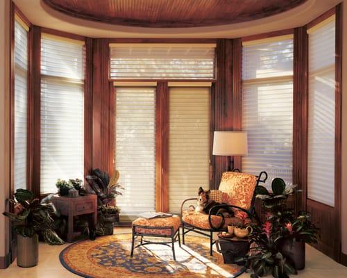 Silhouette Window Shadings