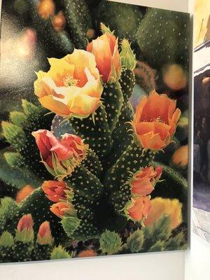 Cacti bloom painting