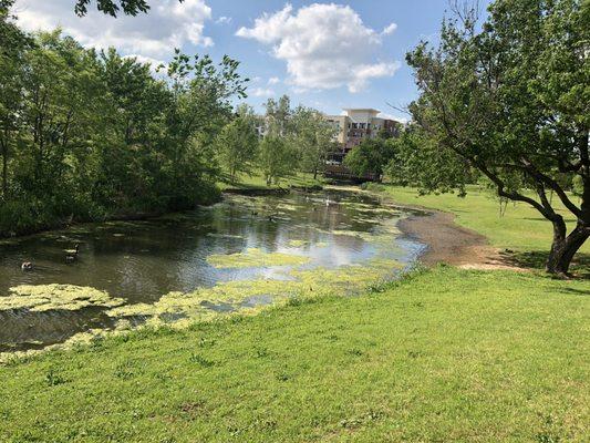 Brandt Park - OU Duck Pond:  Pond Area