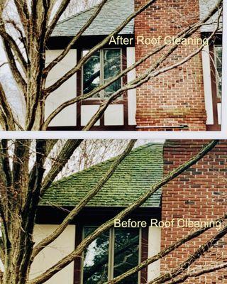 Before and after roof cleaning moss removal