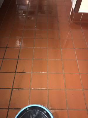 Tile & Grout cleaning