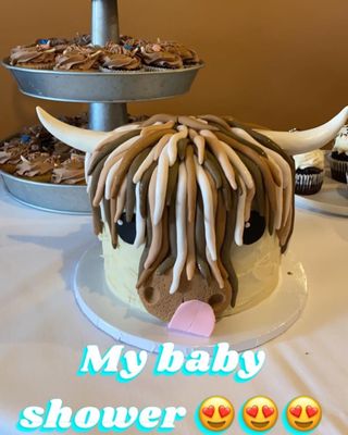 Baby shower cake and cupcakes. Highland cow!