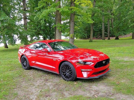 MY NEW 2019 RACE RED MUSTANG GT 5.0.   SAVED $4000 NOT BUYING FROM LEBANON FORD.