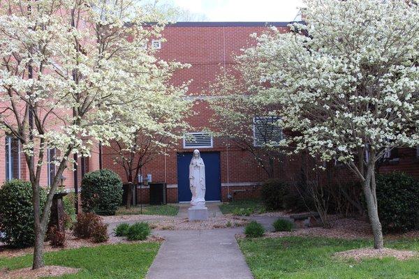 Campus Courtyard Area