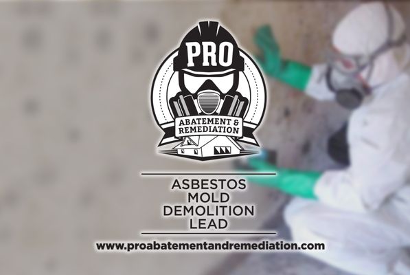 Pro Abatement and Mold Removal