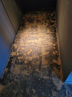 Floor tile Removal