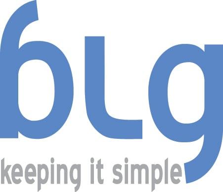 Blue LAN Group, Inc. - Web Division