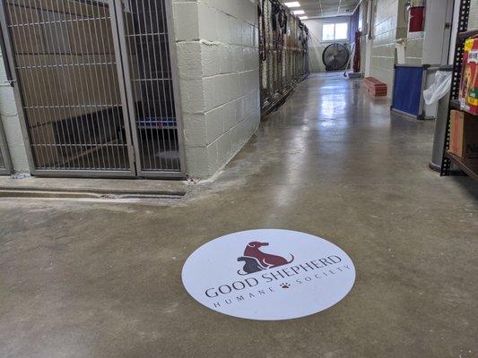 A peek inside our kennel area